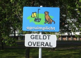 Holendrzy i mandaty