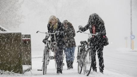 W jaki sposób Holendrzy mogą spróbować zabić Cię za pomocą roweru? 