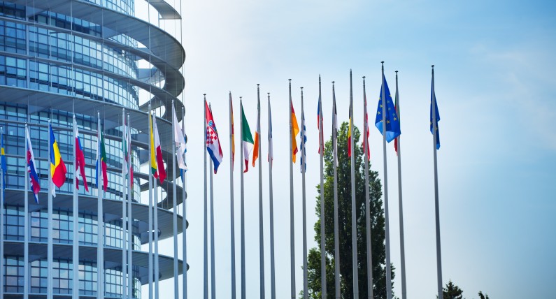 Wyjście z Unii Europejskiej i koniec z obostrzeniami? Nowe postulaty niderlandzkiej partii