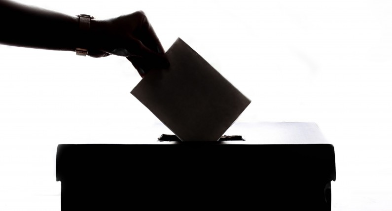 Wybory parlamentarne 2019: jak głosować w Holandii?