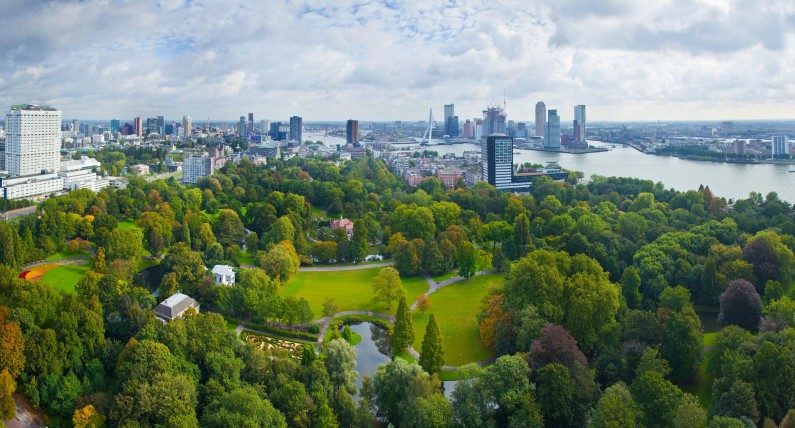 Najbardziej zielone dzielnice mieszkalne w Niderlandach. Wyniki badań Nature & Environment