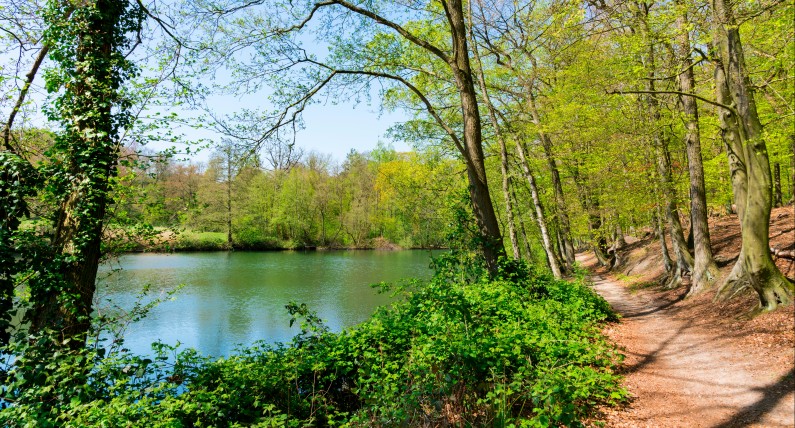 Wybrano najbardziej zielone miasto w Holandii. Zwycięską miejscowość można znaleźć w Geldrii
