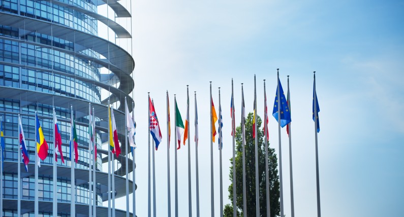 Niderlandzka posłanka wzywa do obrony europejskiej demokracji. Polska i Węgry znów na celowniku 