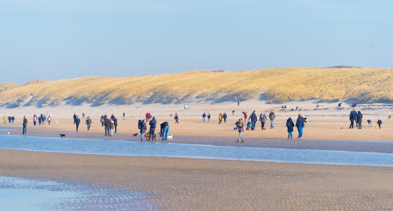 Słońce, piasek, woda, czyli wakacyjny przegląd najlepszych plaż w Holandii