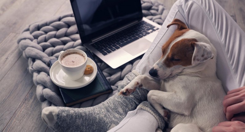 Trzeba czasem oddać się nicnierobieniu. Niksen, czyli holenderska odpowiedź na skandynawskie hygge