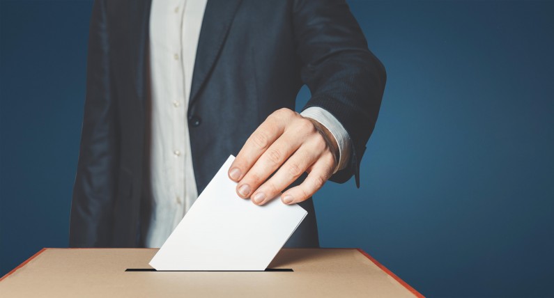 Wybory parlamentarne 2019: jak głosowała Polonia w Holandii? 