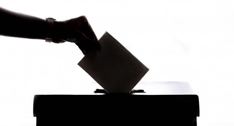 Wybory prezydenckie 2020: Jak zagłosują Polacy w Niderlandach? Wyniki sondaży 