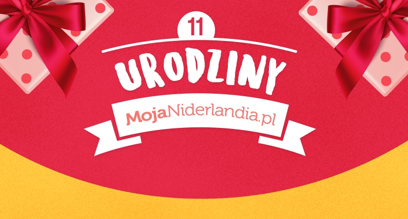 Moja Niderlandia ma już 11 lat. Zobacz, jak się zmienialiśmy