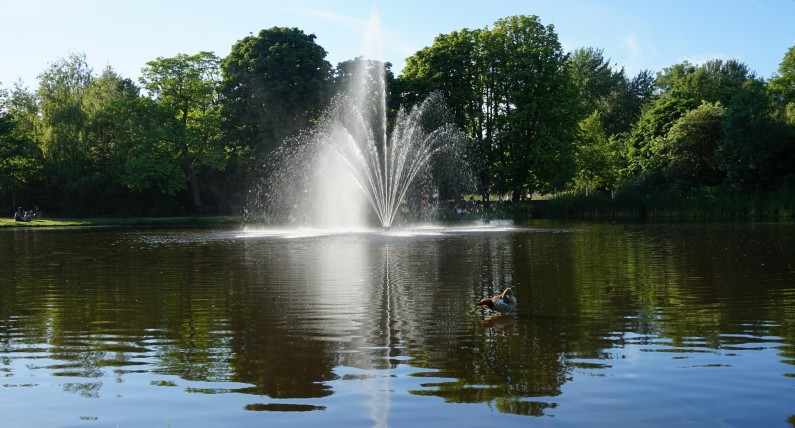Vondelpark Amsterdam. Historia miejsca, w którym odwiedzający mogą uprawiać seks