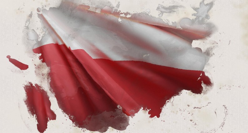 Polonia wybrała prezydenta Polski. Wyniki i frekwencja II tury wyborów w Niderlandach 