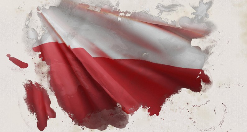 Polonia zagłosowała. Oficjalne wyniki i frekwencja I tury polskich wyborów prezydenckich w Niderlandach