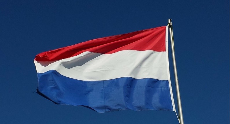 Dobre, bo niderlandzkie! TOP 5 firm z Niderlandów, które podbijają światowy rynek