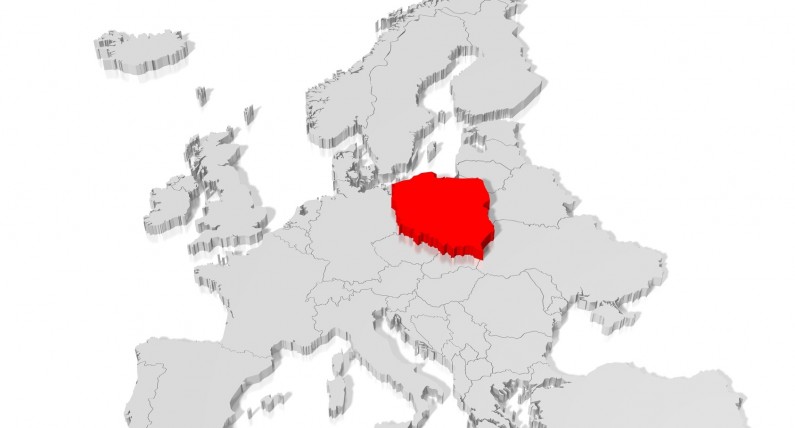 Jak mieszkańcy Niderlandów postrzegają Polaków? Najpopularniejsze stereotypy