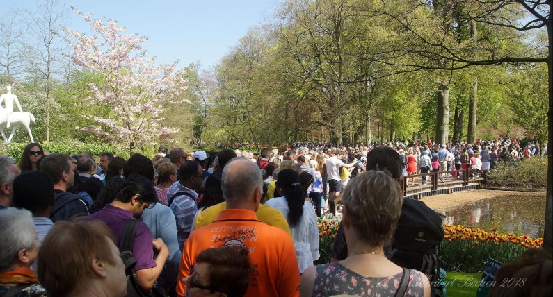 Keukenhof przeżyło wielkanocne oblężenie. Zabrakło miejsca dla wszystkich