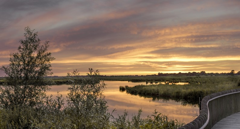 Drenthe. Holenderski region, w którym odpoczniesz od zgiełku miast