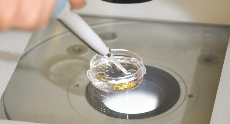 Lekarz używał własnego nasienia do zapłodnienia in vitro. Był dawcą dla 49 dzieci