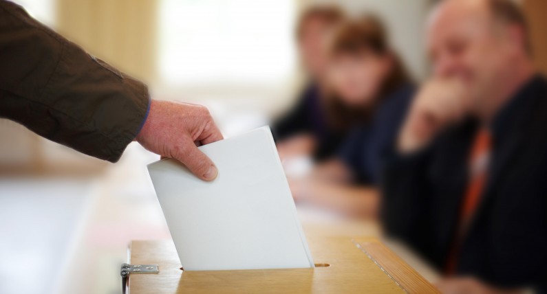 Wybory parlamentarne 2023 i referendum. Jak głosować w Holandii? 