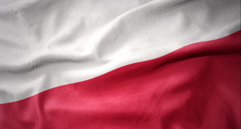 Ambasada RP: zdobądź pieniądze na umacnianie więzi Polaków w Holandii