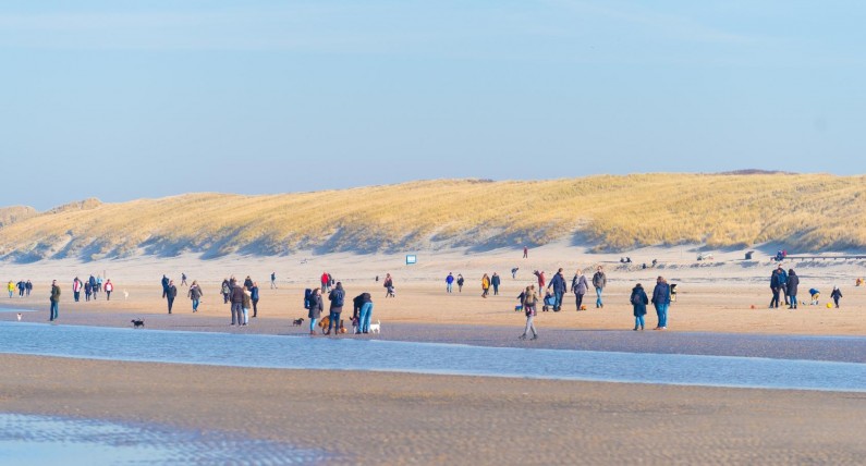 Holendrzy organizują wielką imprezę na plaży z okazji Brexitu. Każdy może się przyłączyć