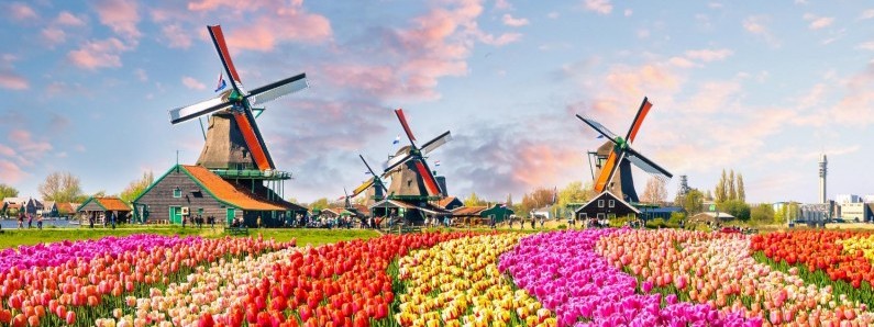 Wiosna w Niderlandach oczami naszych czytelników [GALERIA]