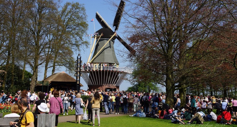 Do Holandii na święta przyjedzie milion turystów. Sprawdź, gdzie będzie ich najwięcej
