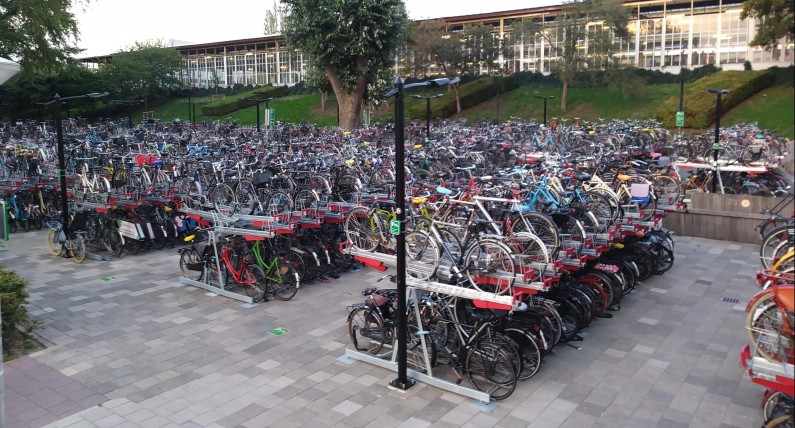 Holandia chce zwiększyć liczbę rowerzystów w kraju. Potrzebne są 3 miliardy euro