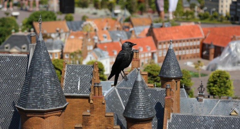 Park miniatur Madurodam, czyli Holandia w pigułce