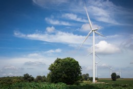 Holandia ma już 2200 turbin wiatrowych
