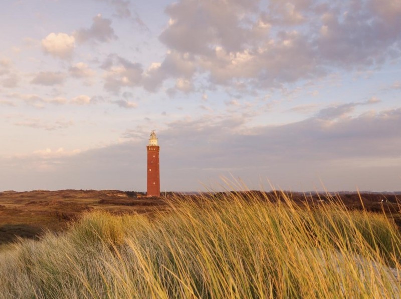 Ouddorp może poszczycić się najczystszą plażą w całej Holandii.