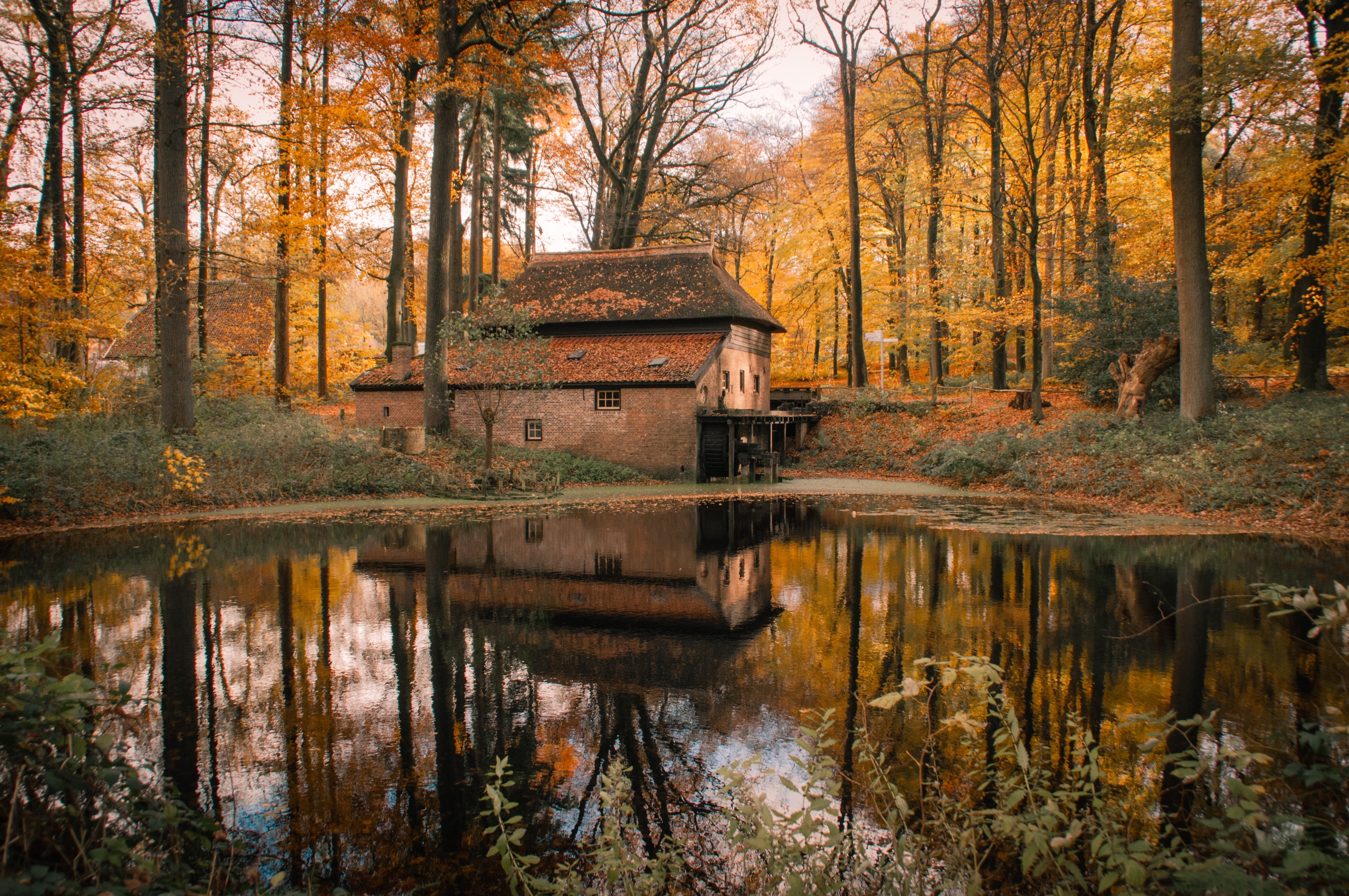 Młyn w  Openluchtmuseum.