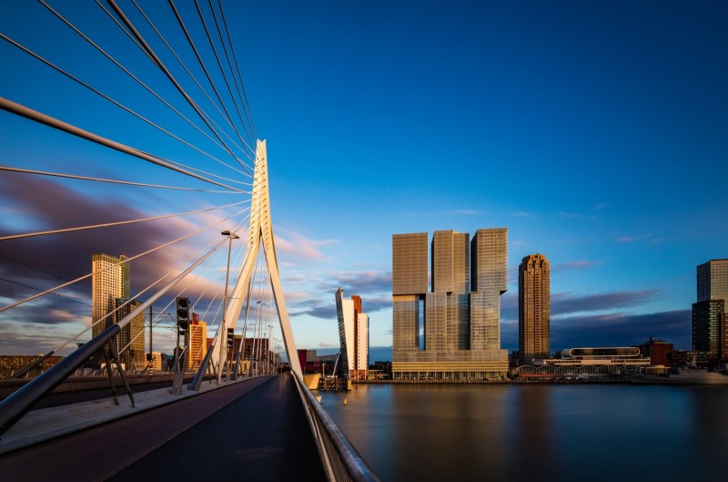Rotterdam to miasto, w którym dużo się dzieje!