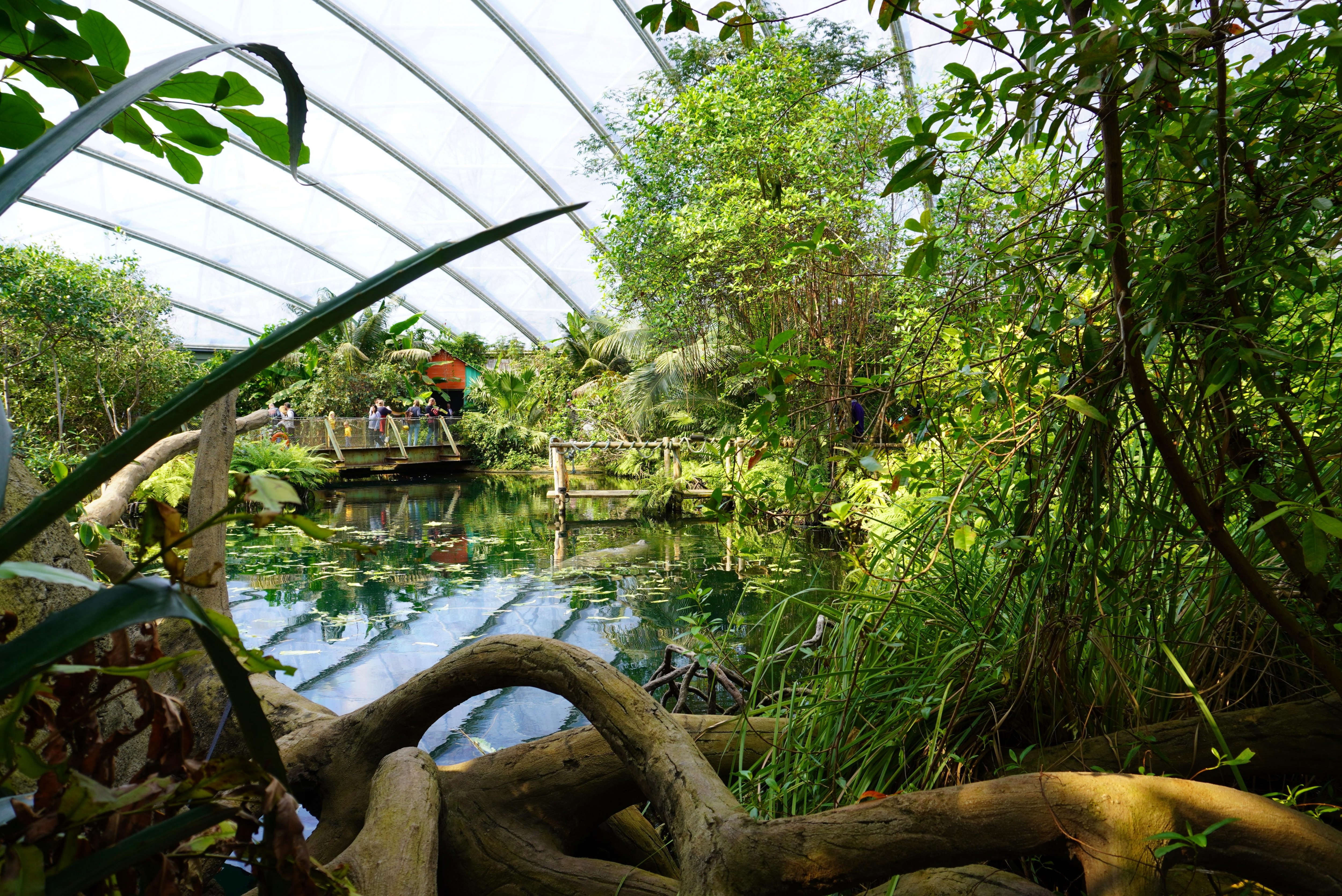 Burger's Zoo w Arnhem.