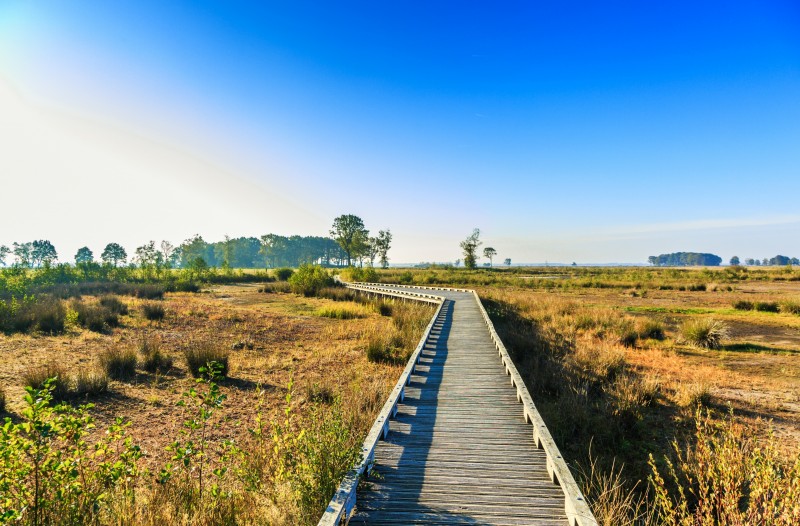 Dwingelderveld National Park.