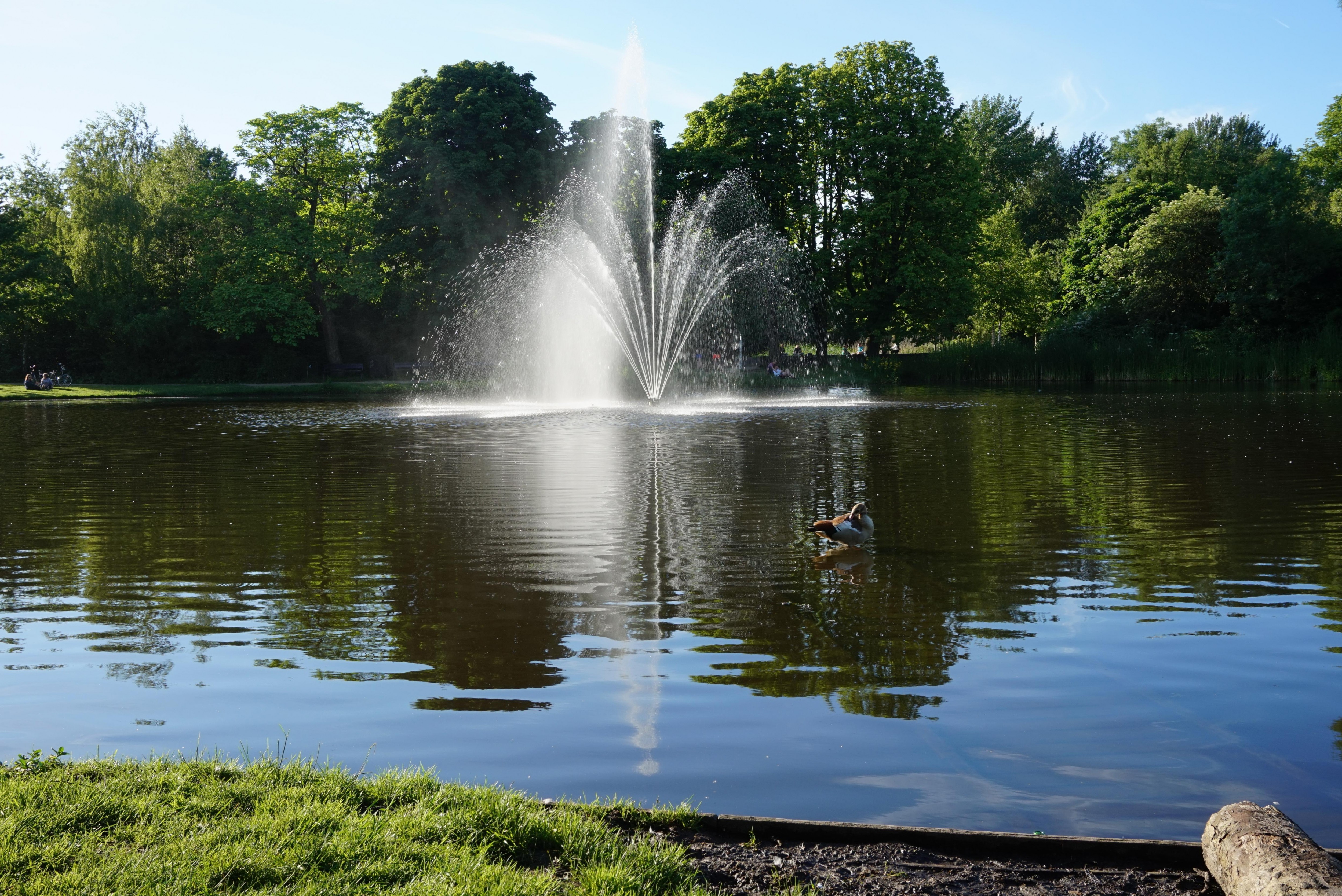 Voldenpark i jego obszary wodne.