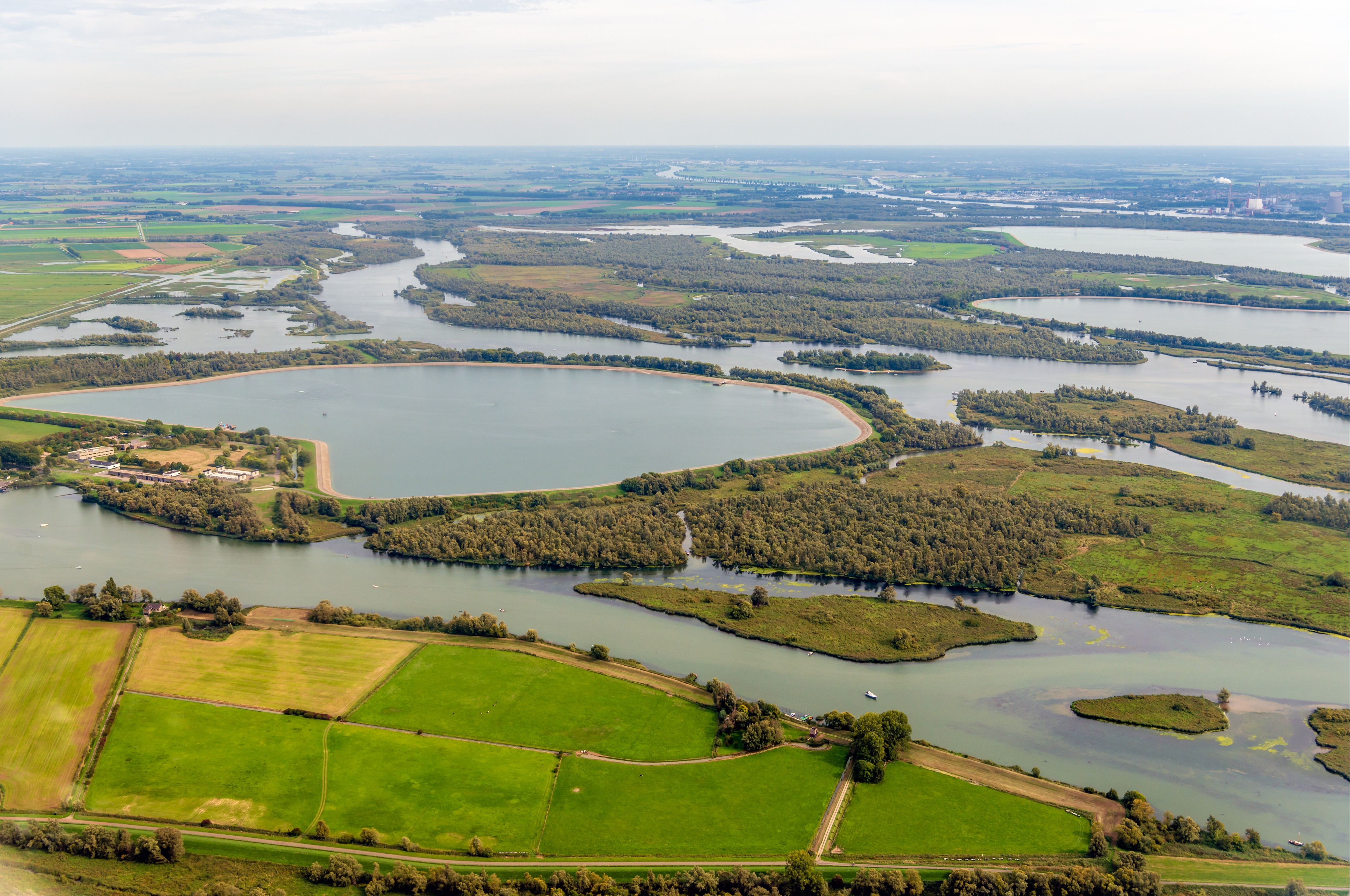 Biesbosch z lotu ptaka wygląda zjawiskowo.