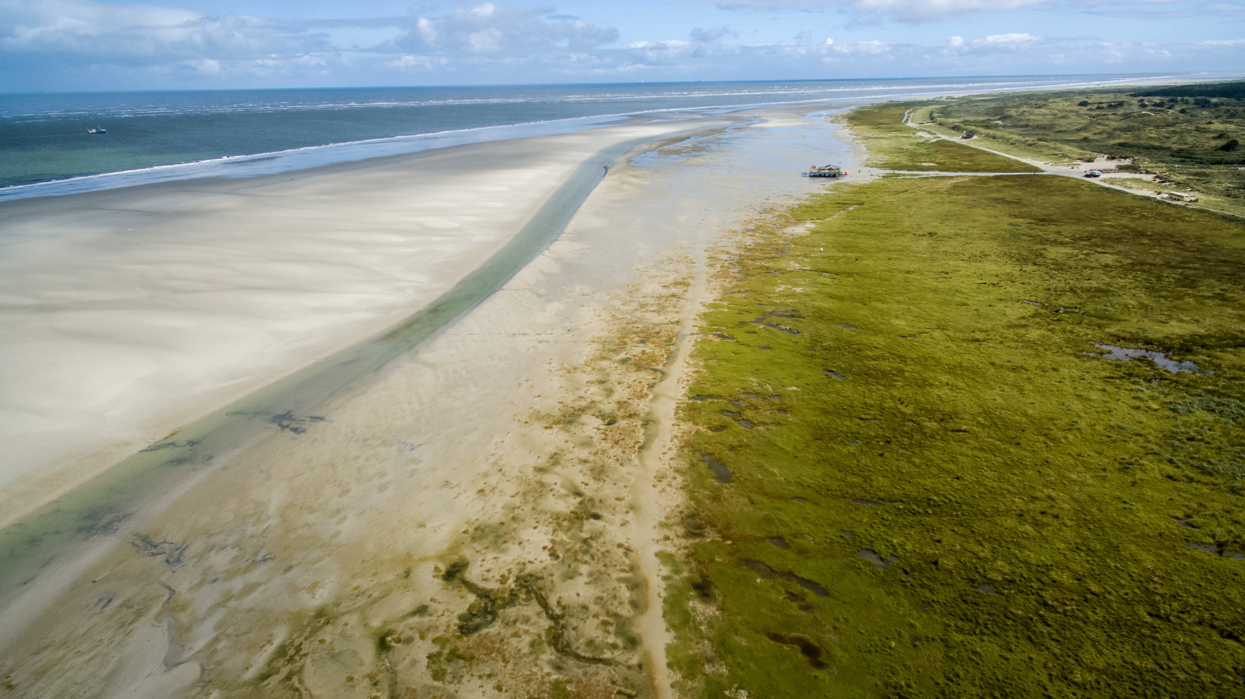 Dzika plaża na Schiermonnikoog.