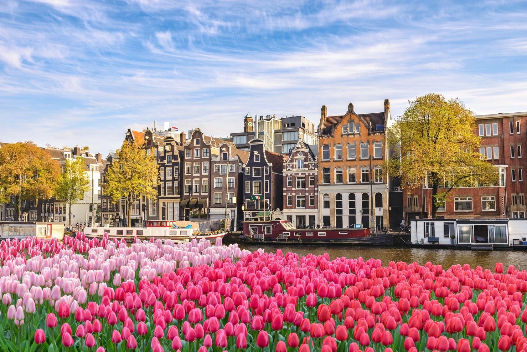 Czy AMsterdam może być jeszcze piękniejszy?