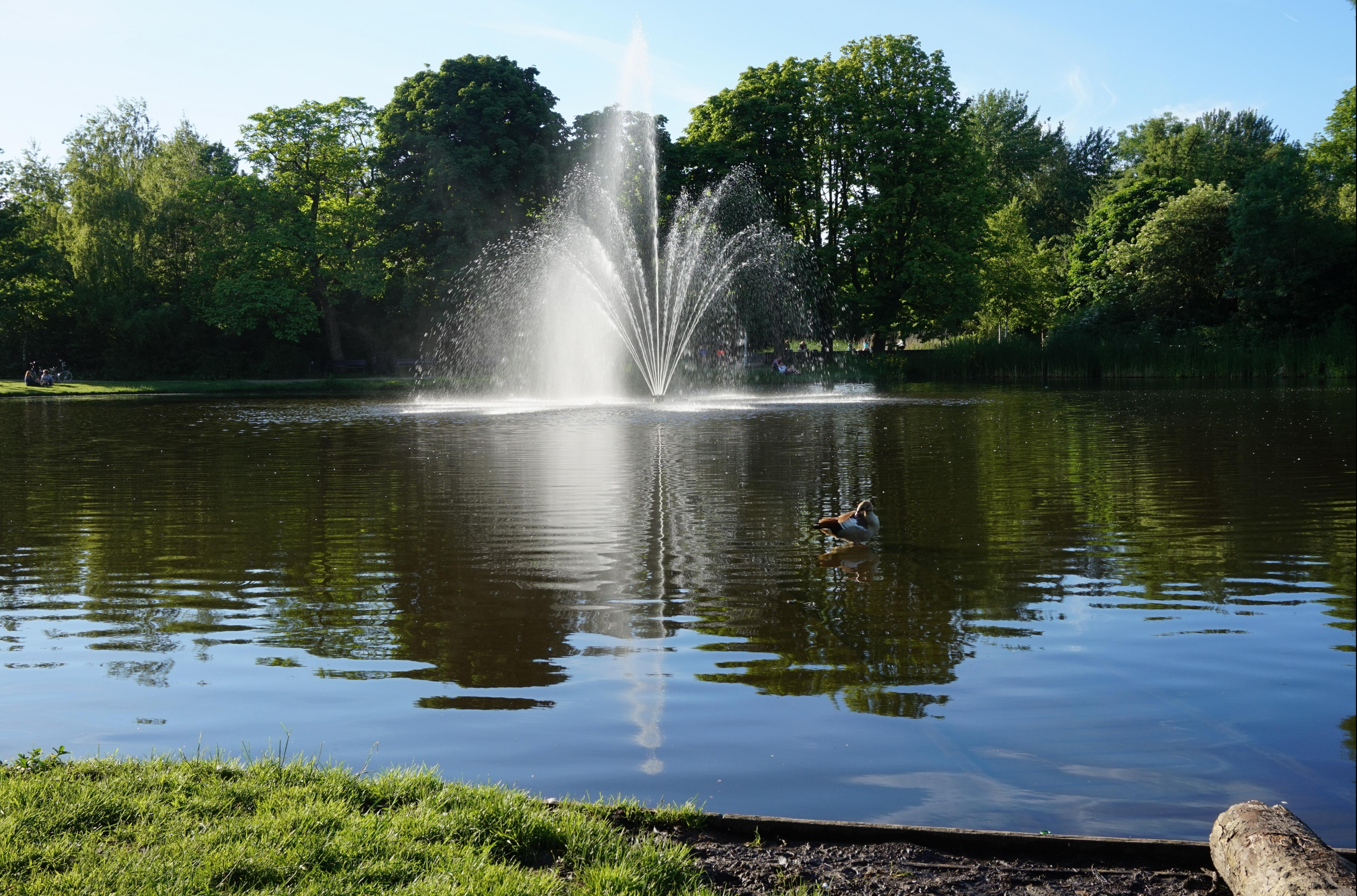 Voldenpark i jego obszary wodne.